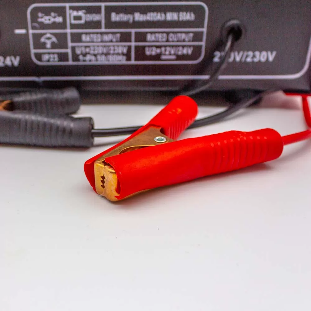 Redresor baterie auto 12V/24V max 20A